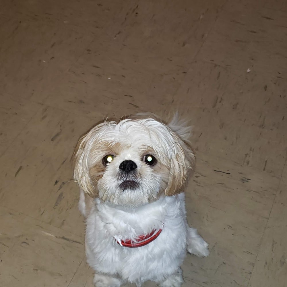 Meet your Posher, Phat